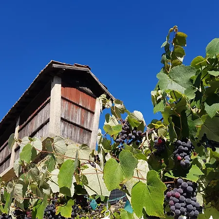 Σπίτι διακοπών A Cancela House Arouca Paiva Walkways