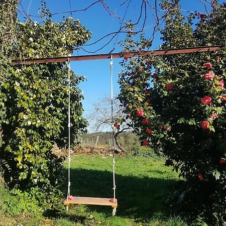 A Cancela House Arouca Paiva Walkways *