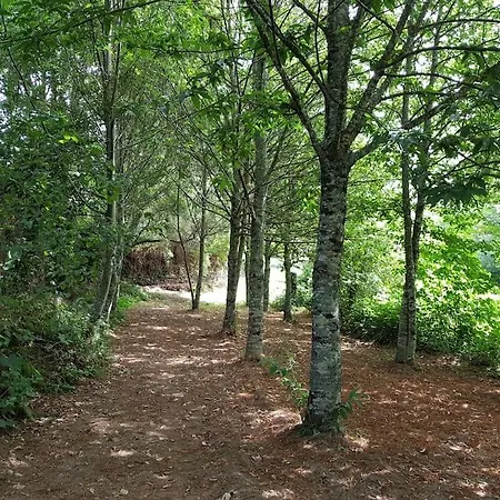 Σπίτι διακοπών A Cancela House Arouca Paiva Walkways Lazaro