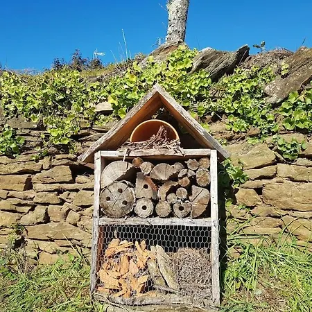 A Cancela House Arouca Paiva Walkways Lazaro