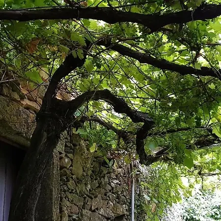 A Cancela House Arouca Paiva Walkways *