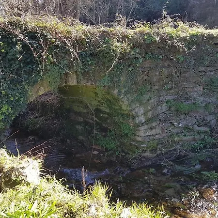 A Cancela House Arouca Paiva Walkways