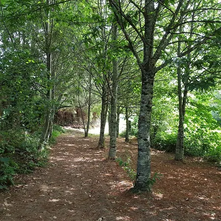 A Cancela House Arouca Paiva Walkways