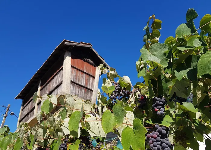 Сasa de vacaciones A Cancela House Arouca Paiva Walkways