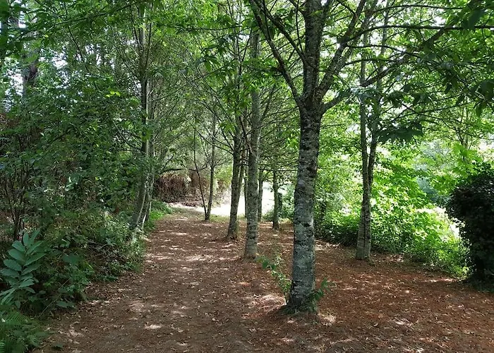 Сasa de vacaciones A Cancela House Arouca Paiva Walkways Lazaro