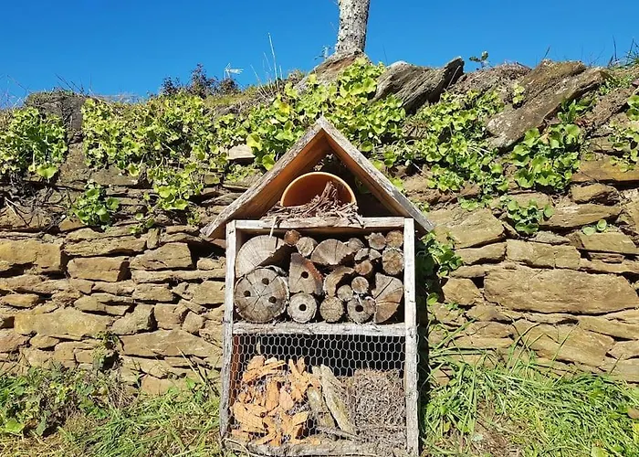 A Cancela House Arouca Paiva Walkways Lazaro