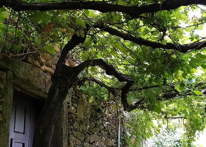 A Cancela House Arouca Paiva Walkways *